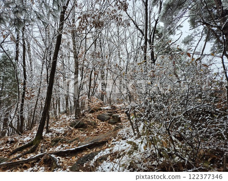 white snow 122377346