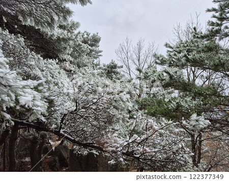 white snow 122377349