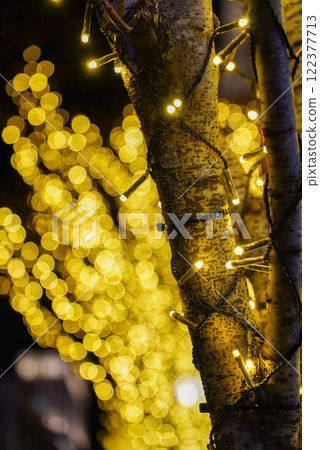 Illuminated tree Illuminated tree 122377713