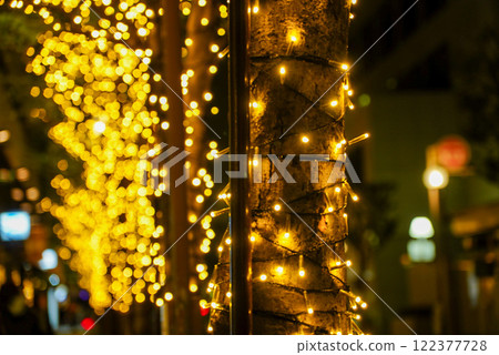 夜晚的燈飾閃耀 夜晚的燈飾閃耀 122377728