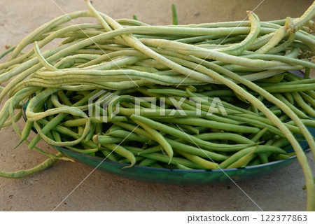 green beans is raw, harvested on wooden background. legumes, vegetarianism and gardening 122377863