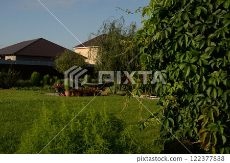 green grass, lawn in the garden. Gardening, landscaping green grass, lawn in the garden. Gardening, landscaping 122377888