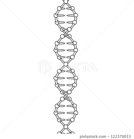 Line drawing of the DNA double helix structure 122378013