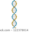 DNA double helix structure 122378014