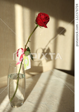 red rose flower in the bright sun red rose flower in the bright sun 122378704