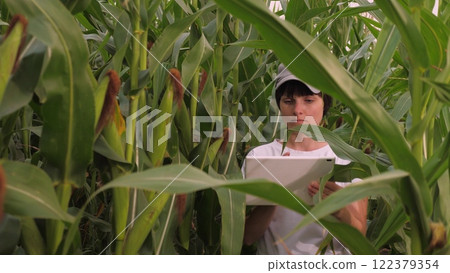 Agriculture, female farmer walking through corn field digital tablet, female farmer face, farmer agronomist work field, entrepreneurial activity, rural worker digital tablet, woman looking corn cobs 122379354