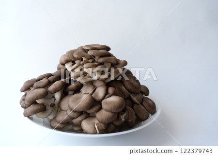 大理石平竹 - 3:2 122379743