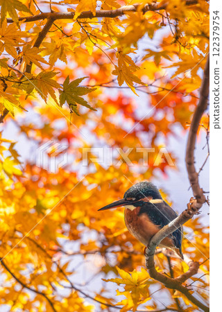 Autumn Jade Autumn Jade 122379754