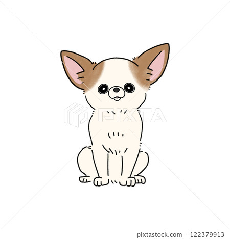 光滑吉娃娃（白棕色） 122379913