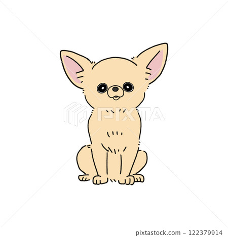 光滑吉娃娃(奶油色) 光滑吉娃娃(奶油色) 122379914