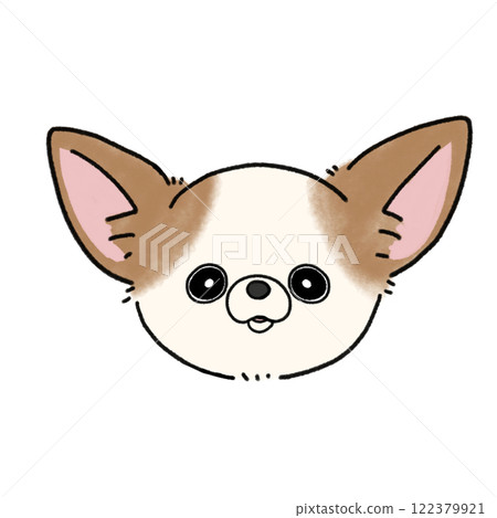 光滑的吉娃娃臉(白棕色) 光滑的吉娃娃臉(白棕色) 122379921