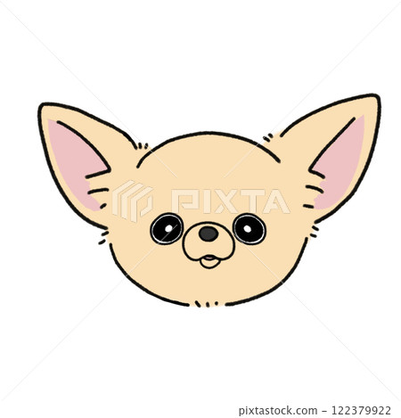 光滑的吉娃娃臉(奶油色) 光滑的吉娃娃臉(奶油色) 122379922