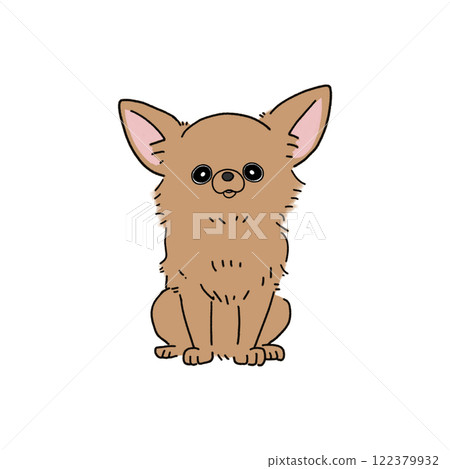 Long Coat Chihuahua (Brown) 122379932