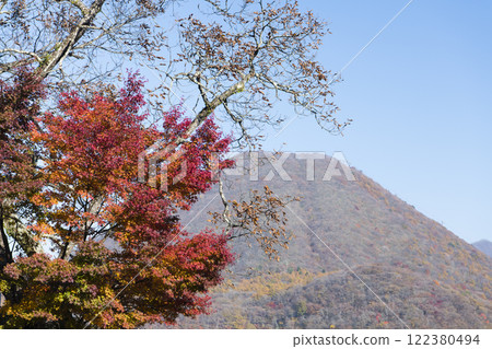 Autumnal leaves and Mt. Haruna Autumnal leaves and Mt. Haruna 122380494