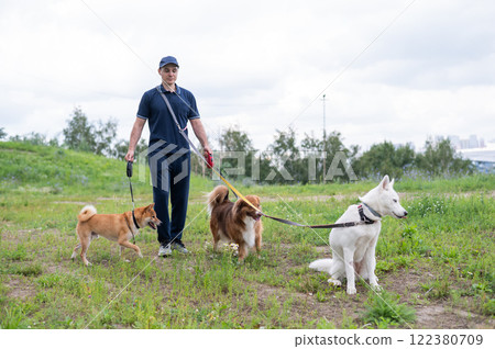 A Caucasian man walks with three dogs. Dog walker. A Caucasian man walks with three dogs. Dog walker. 122380709
