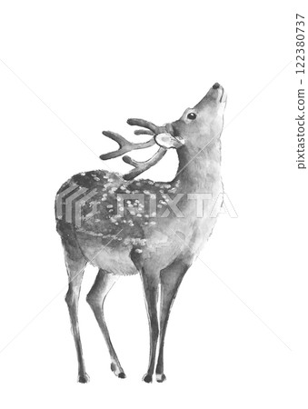 A young stag facing upwards, painted in watercolor [hand-drawn] Monotone illustration material, white background, transparent background, copy space available 122380737