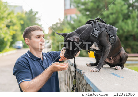 Caucasian man walking with a pitbull terrier dog. Caucasian man walking with a pitbull terrier dog. 122381090