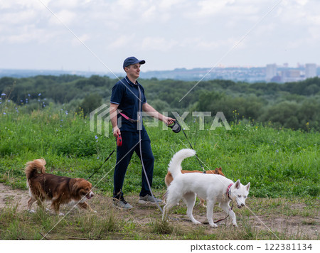 A Caucasian man walks with three dogs. Dog walker. 122381134