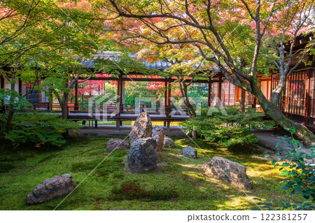 Autumn garden at Kenninji temple with colorful fall leaves, Kyoto 122381257