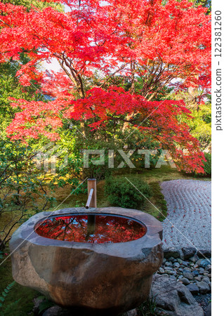 Water basin with red maple reflect by Kenninji rock garden, Kyoto 122381260