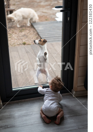 The dog stands at the patio window and asks to go inside the house to the baby boy. The dog stands at the patio window and asks to go inside the house to the baby boy. 122381430