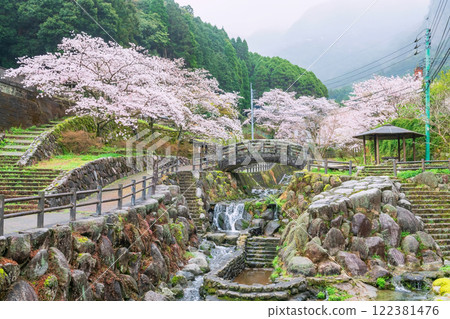 Okawachiyama village park with cherry blossom tunnel, Imari, Saga Okawachiyama village park with cherry blossom tunnel, Imari, Saga 122381476