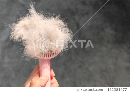 Molting dog fur on pink Grooming brush or comb with copy space Molting dog fur on pink Grooming brush or comb with copy space 122381477