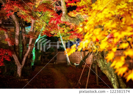 gate with colorful autumn maple tree tunnel, Hogonin, Arashiyama 122381574