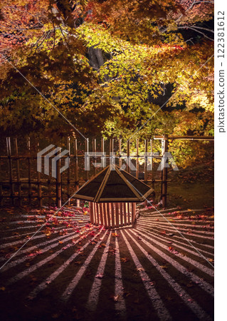 light through lantern and colorful maple leaves, Hogonin temple light through lantern and colorful maple leaves, Hogonin temple 122381612