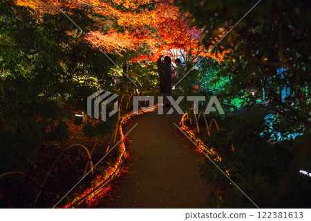 couple enjoy autumn night illumination at Hogonin temple couple enjoy autumn night illumination at Hogonin temple 122381613