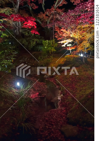 Falling red maple leaves on pond and autumn light up, Hogonin temple Falling red maple leaves on pond and autumn light up, Hogonin temple 122381614