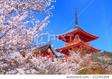 [Kyoto Prefecture] Cherry blossoms in full bloom and the three-story pagoda of Kiyomizu-dera Temple 122381906