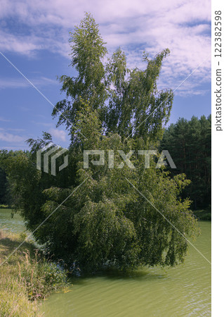 Picturesque view of forest lake with clear water surface reflecting green trees and blue sky. Lonely tree on the lake shore. Film photography effect and grunge effect. Vertical photo Picturesque view of forest lake with clear water surface reflecting green trees and blue sky. Lonely tree on the lake shore. Film photography effect and grunge effect. Vertical photo 122382598