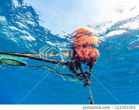 A school of cute young fish including horse mackerel (Carangidae), Oyabitcha (Pomacentridae), and filefish (Lepidoptera) living on a buoy. 122383301