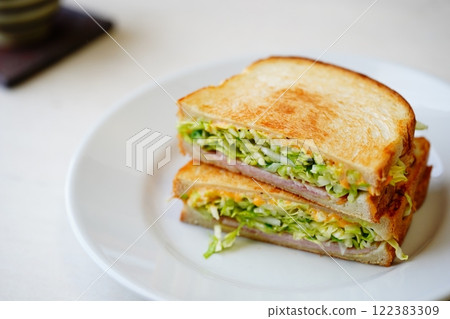 春捲心菜熱三明治 122383309