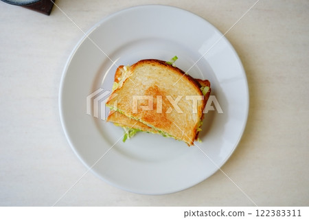 Spring cabbage hot sandwich 122383311