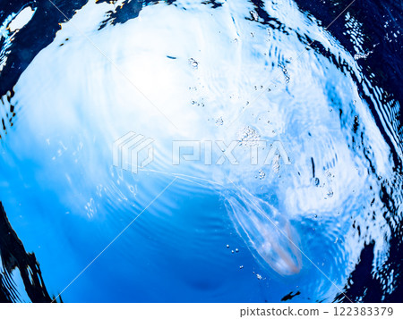A mysterious horseshoe jellyfish (family Hemus jellyfish) floating on the surface of the water. Nakagi Hirizo Beach, Minamiizu-cho, Kamo-gun, Izu Peninsula, Shizuoka Prefecture A mysterious horseshoe jellyfish (family Hemus jellyfish) floating on the surface of the water. Nakagi Hirizo Beach, Minamiizu-cho, Kamo-gun, Izu Peninsula, Shizuoka Prefecture 122383379