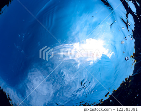 漂浮在水面上的神秘犀牛水母（Helminidae 科）。 靜岡縣伊豆半島加茂郡南伊豆町中木埼浜 122383381