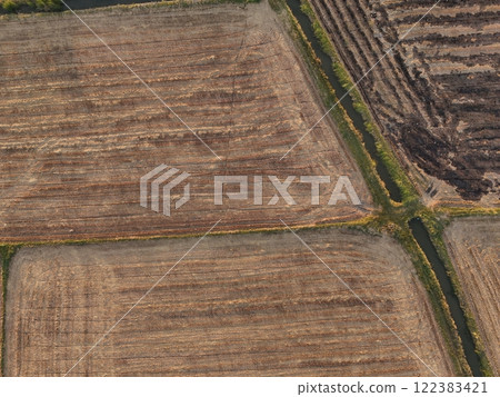 Green rice Fileds aerial view Thailand countryside Green rice Fileds aerial view Thailand countryside 122383421