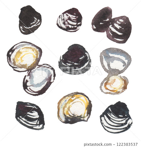 淡水蛤的水彩插圖 122383537