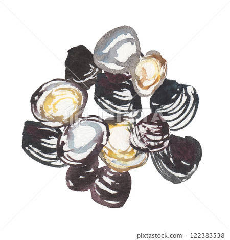 Watercolor illustration of a corbicula 122383538