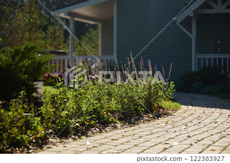 A Charming and Inviting Garden Pathway That Gracefully Leads to a Cozy and Welcoming Home 122383927