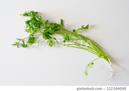 three-leaved three-leaved 122384099