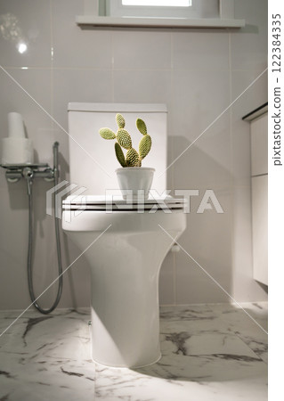 cactus on the toilet bowl as a symbol of health problems 122384335