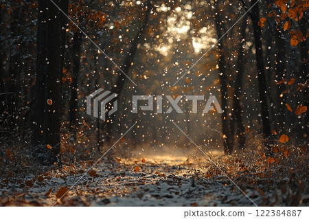 Winter forest landscape with snow falling gently at twilight 122384887