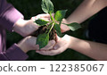 The person is gently cradling a small terrestrial plant in their hands, showcasing the delicate petals and leaves. It is a touching gesture towards the plants growth and beauty 122385067
