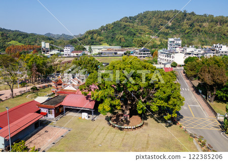 Huge Camphor tree located at Jiji Township in Nantou County, Taiwan Huge Camphor tree located at Jiji Township in Nantou County, Taiwan 122385206