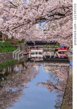 (富山展望台) 富山城 松川 Berri 櫻花四月 (富山展望台) 富山城 松川 Berri 櫻花四月 122385310