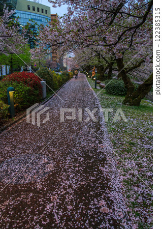 (富山展望台) 富山城 松川 Berri 櫻花四月 (富山展望台) 富山城 松川 Berri 櫻花四月 122385315