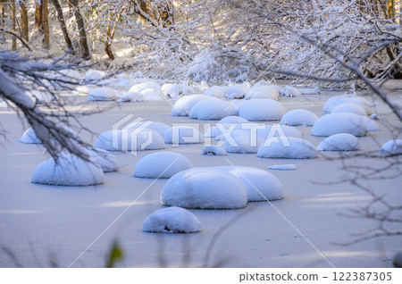 [Snow cap] Frozen swamp [Nagano Prefecture] 122387305